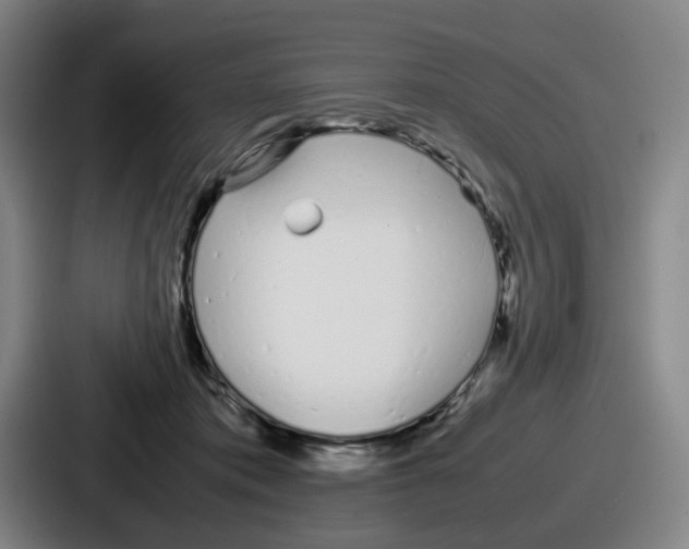 X0000086910413200705141706