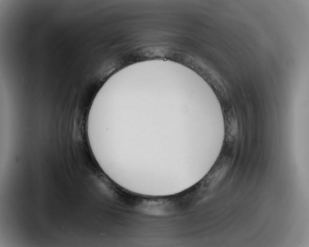 X0000086910414200705141706