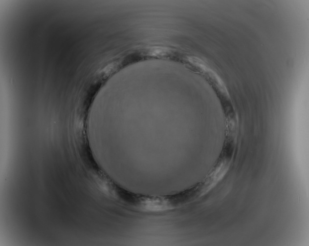 X0000086910415200705141706