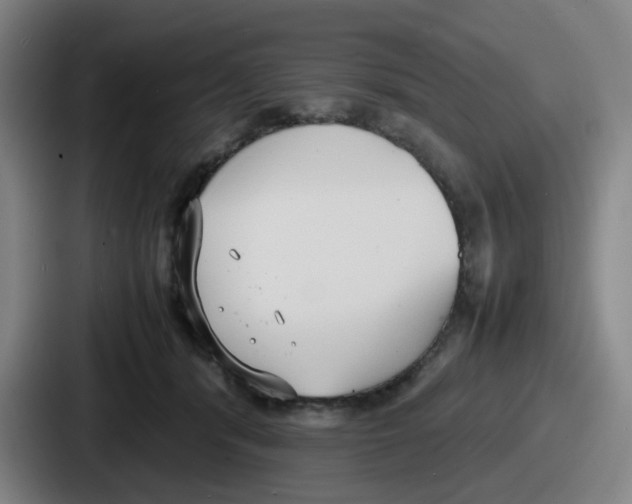 X0000086910416200705141706