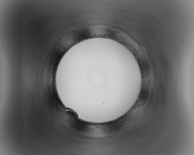 X0000086910417200705141706