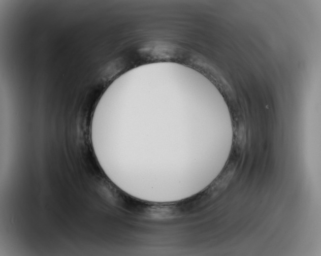 X0000086910418200705141706