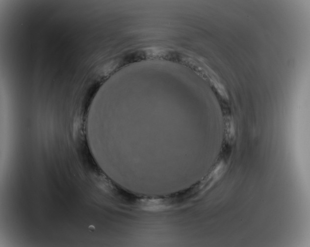 X0000086910419200705141706