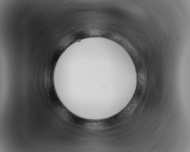 X0000086910422200705141706