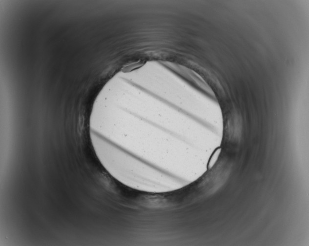 X0000086910424200705141706