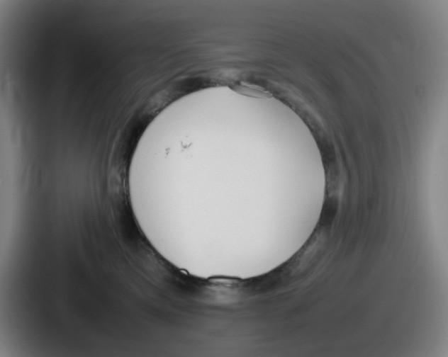 X0000086910425200705141706