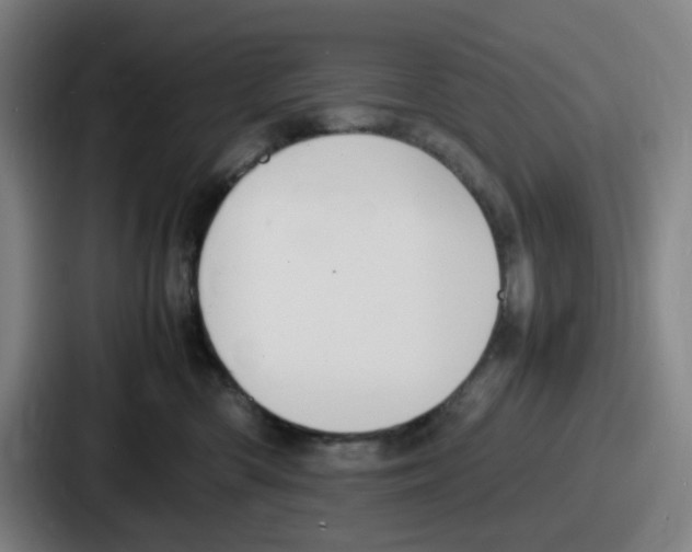 X0000086910426200705141706