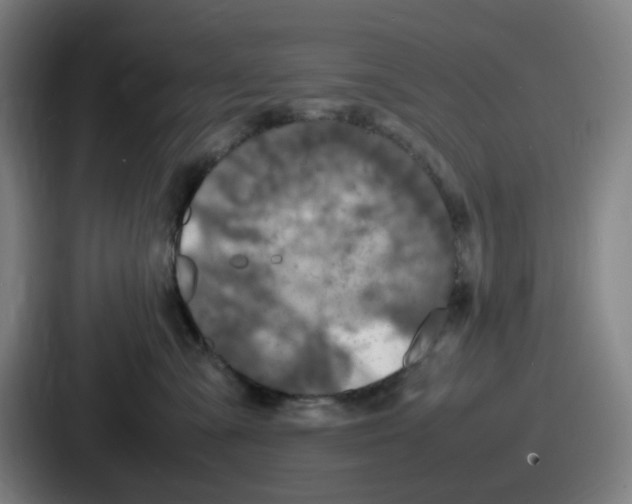 X0000086910427200705141706