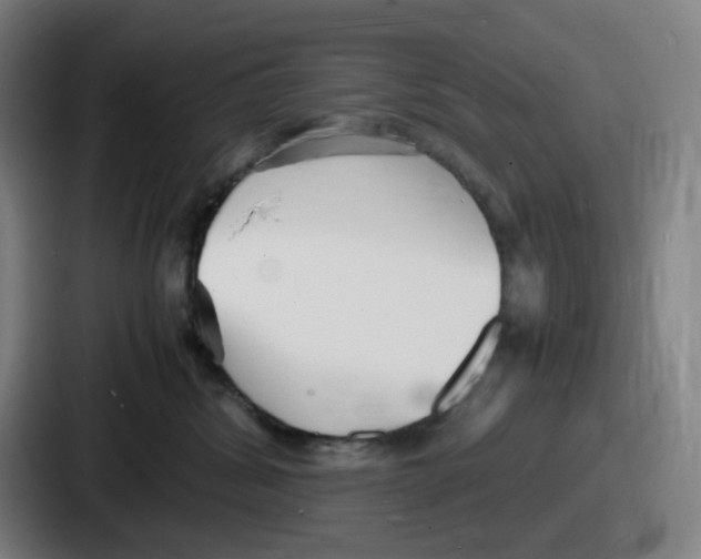 X0000086910428200705141706