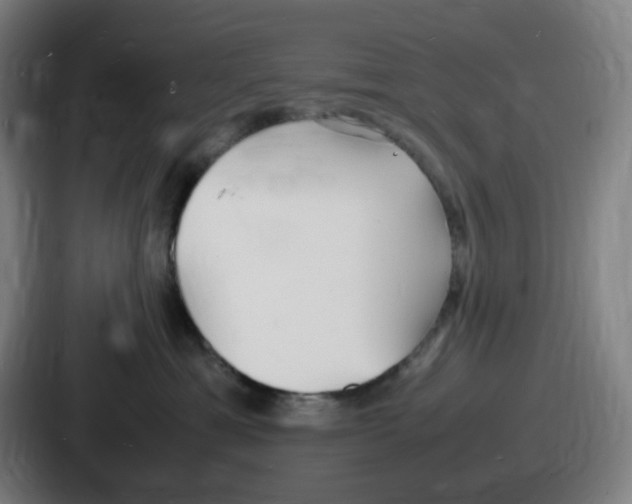 X0000086910429200705141706