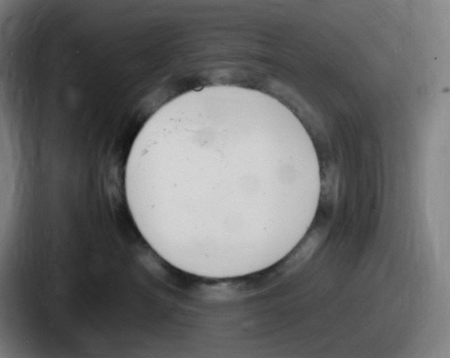 X0000086910430200705141706