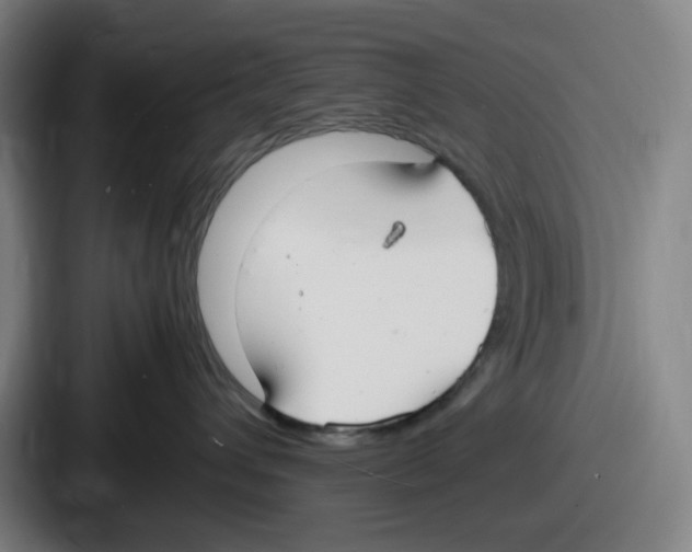 X0000086910432200705141706