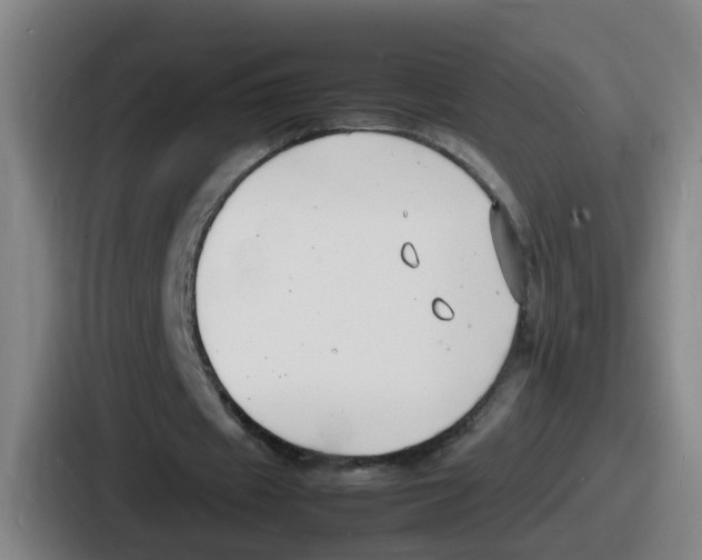 X0000086910433200705141705