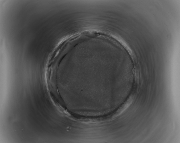 X0000086910434200705141705