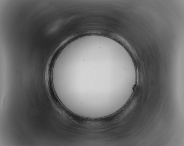 X0000086910435200705141705