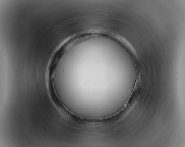 X0000086910436200705141705