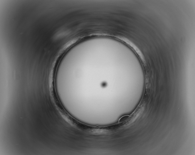 X0000086910437200705141705