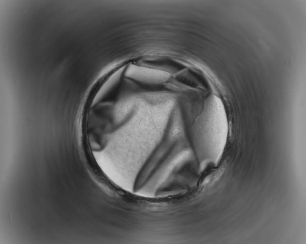 X0000086910438200705141705