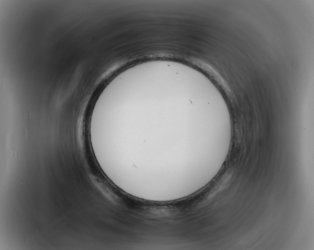 X0000086910439200705141705