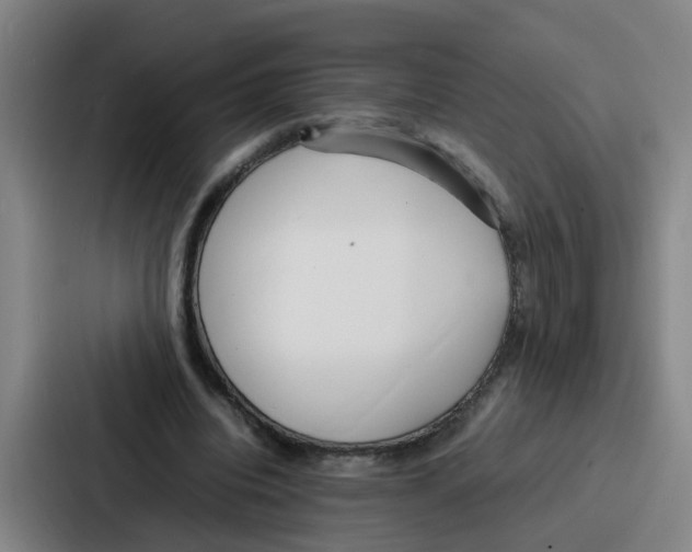 X0000086910440200705141705