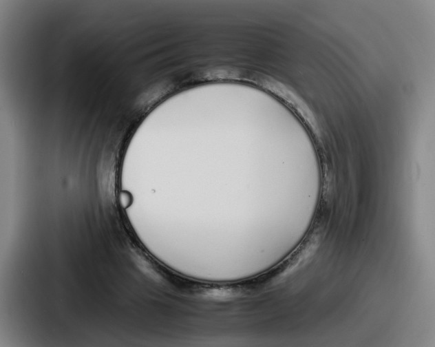 X0000086910441200705141705