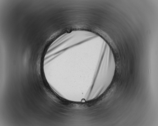 X0000086910442200705141705