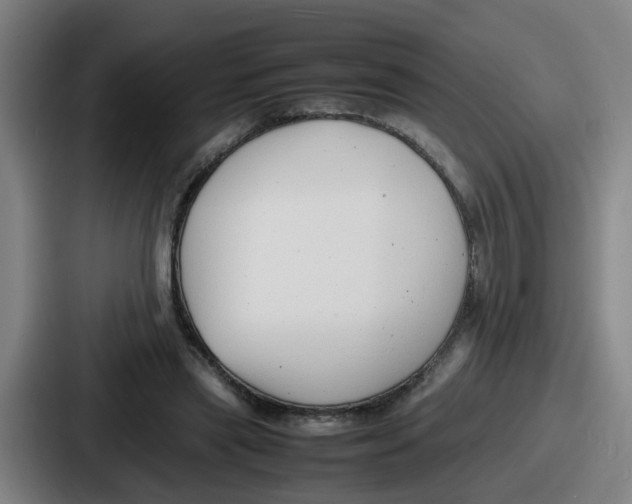 X0000086910445200705141705