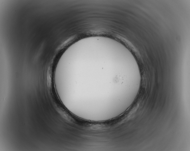 X0000086910446200705141705