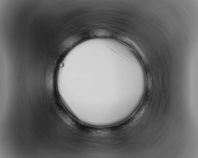 X0000086910447200705141706