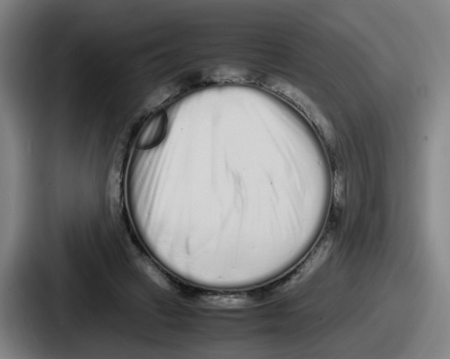 X0000086910449200705141706