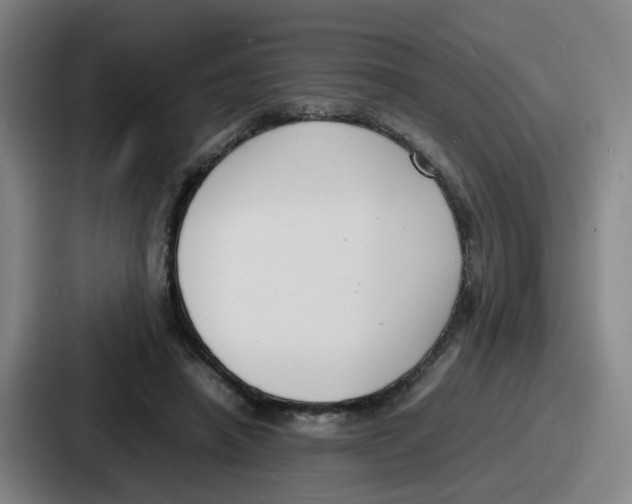 X0000086910450200705141706