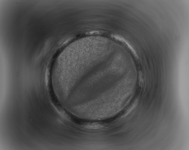 X0000086910451200705141706