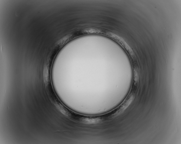 X0000086910453200705141706