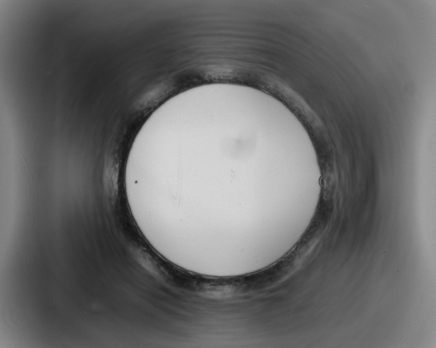 X0000086910454200705141706