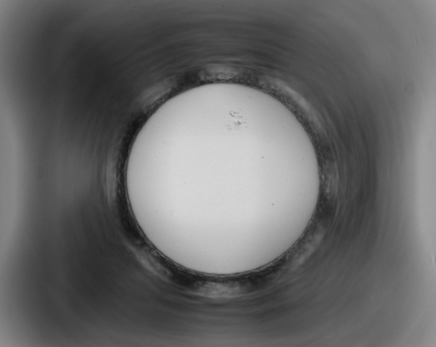 X0000086910455200705141706