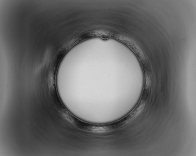 X0000086910457200705141706