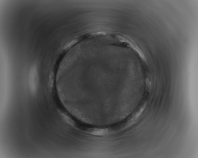 X0000086910458200705141706