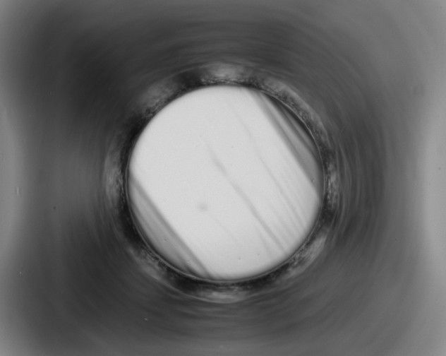 X0000086910459200705141706