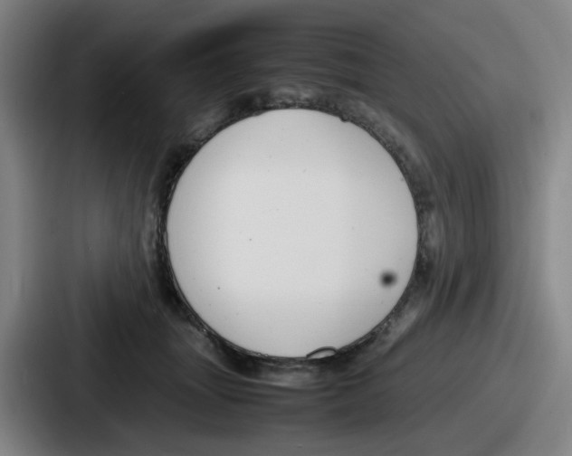 X0000086910463200705141706