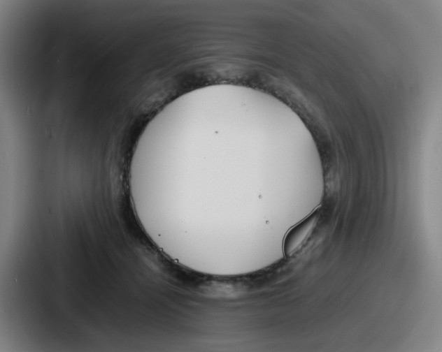 X0000086910464200705141706