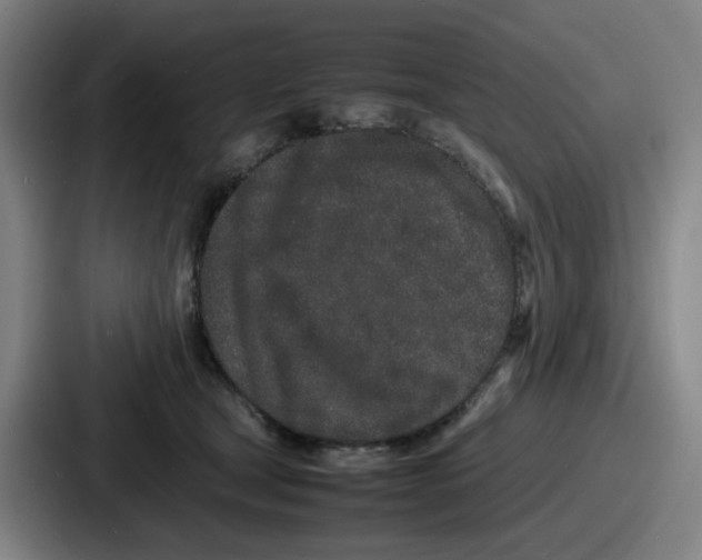 X0000086910465200705141706