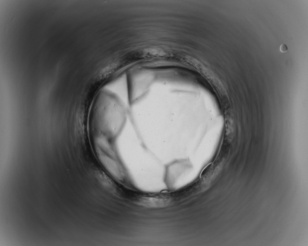 X0000086910466200705141706