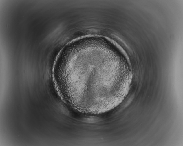 X0000086910467200705141706