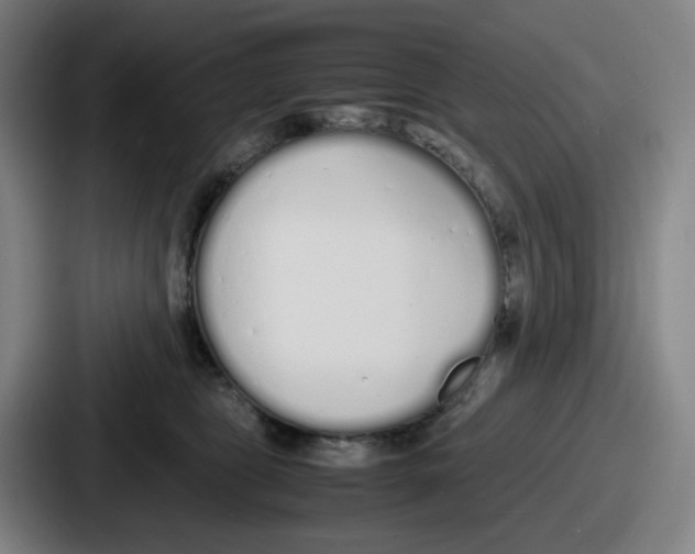 X0000086910469200705141706