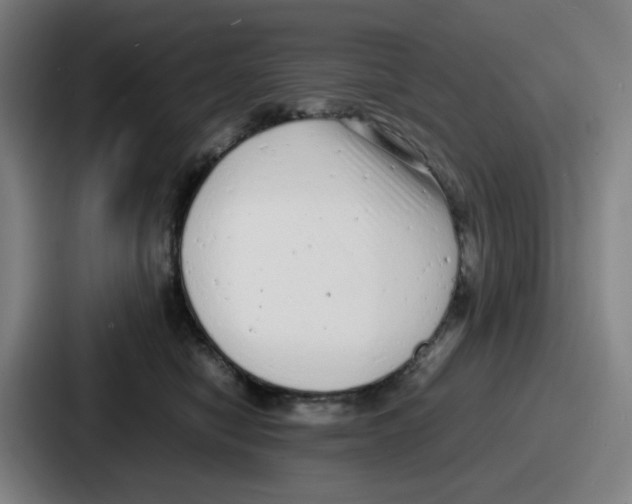 X0000086910470200705141706