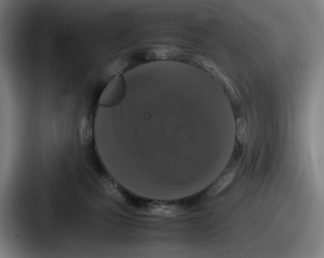 X0000086910471200705141706