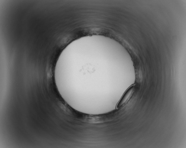 X0000086910472200705141706