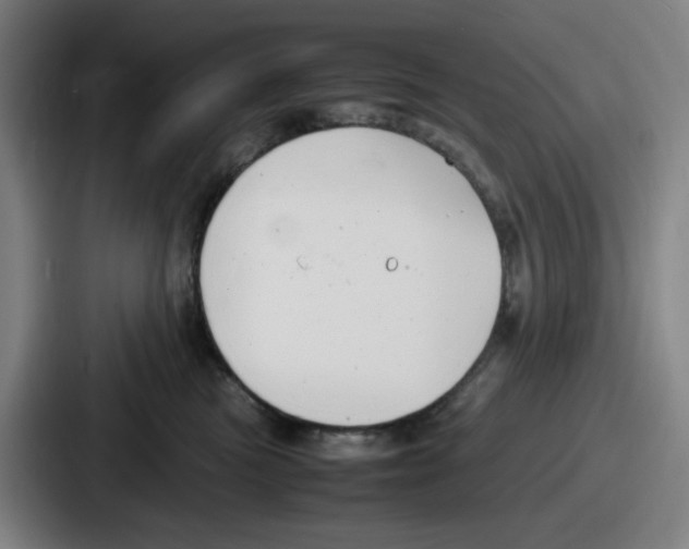 X0000086910473200705141706