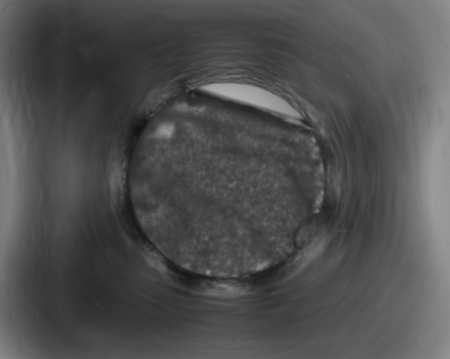 X0000086910475200705141706