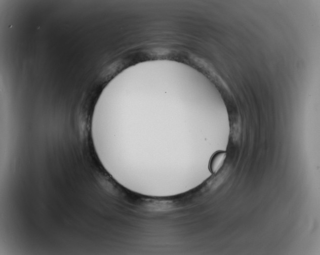 X0000086910476200705141706